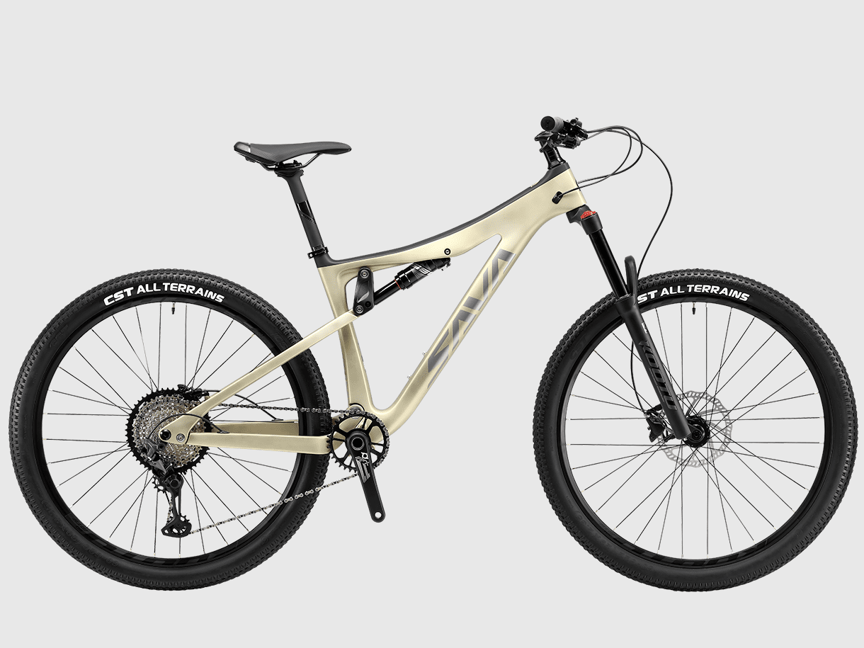 Bruni 29 SAVA Bicycles